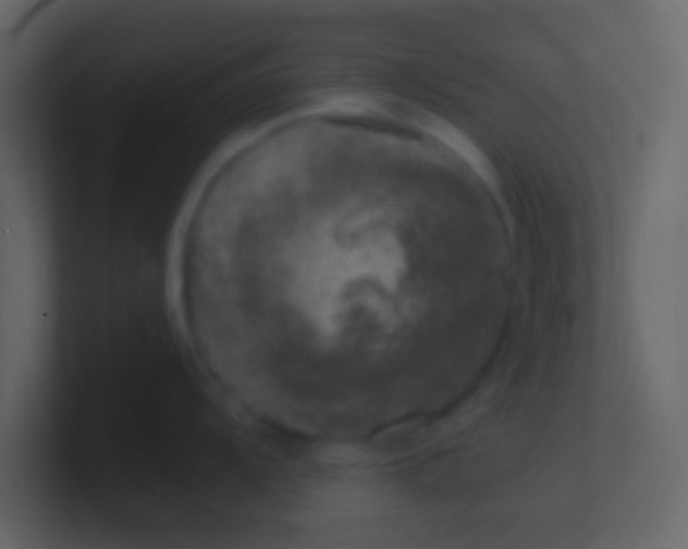 X0000100841104200807070928