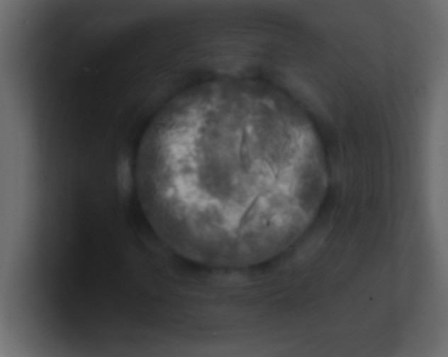 X0000100841106200807070927