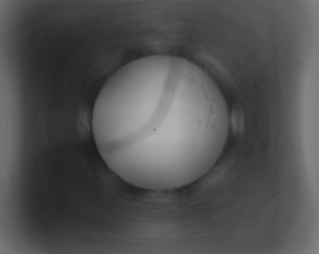 X0000100841107200807070927