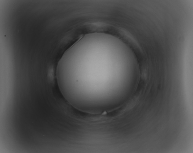 X0000100841108200807070927