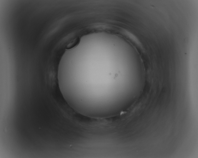 X0000100841111200807070927