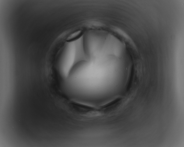 X0000100841112200807070927