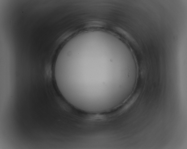 X0000100841113200807070927