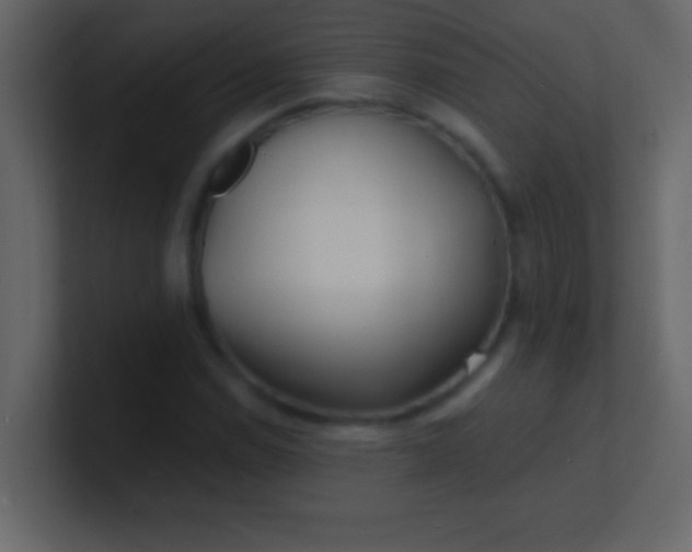 X0000100841114200807070927