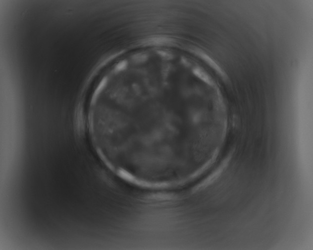 X0000100841117200807070927