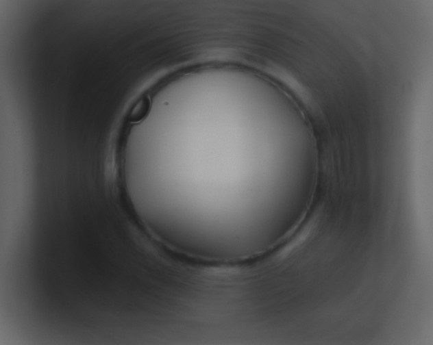 X0000100841118200807070927