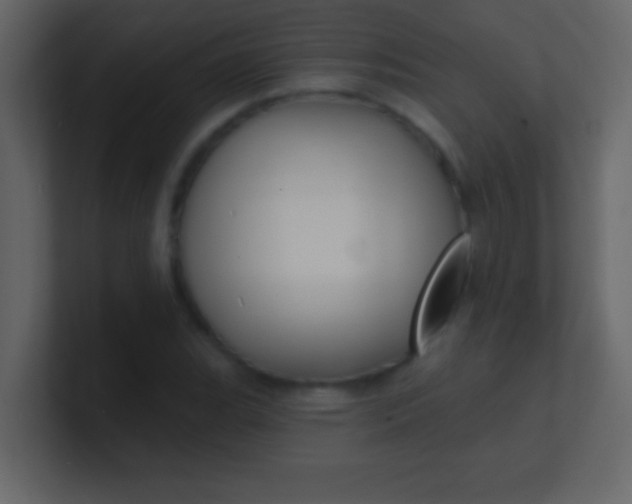 X0000100841119200807070927