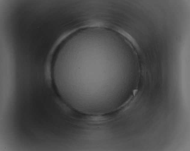 X0000100841120200807070927