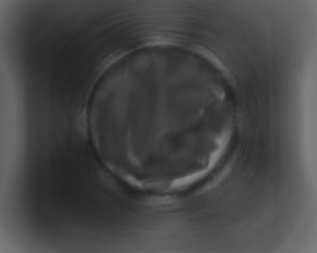 X0000100841121200807070927