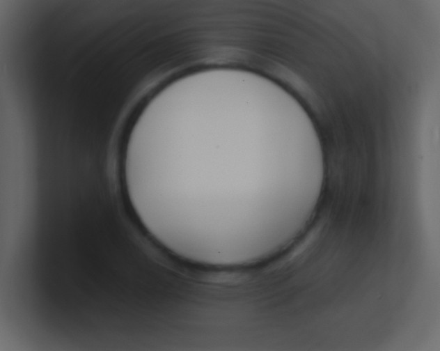 X0000100841122200807070927