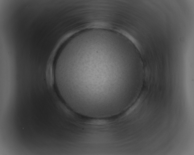 X0000100841123200807070927