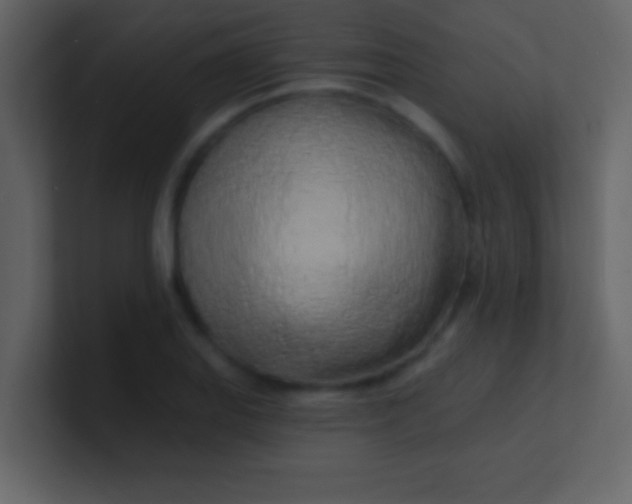 X0000100841127200807070927