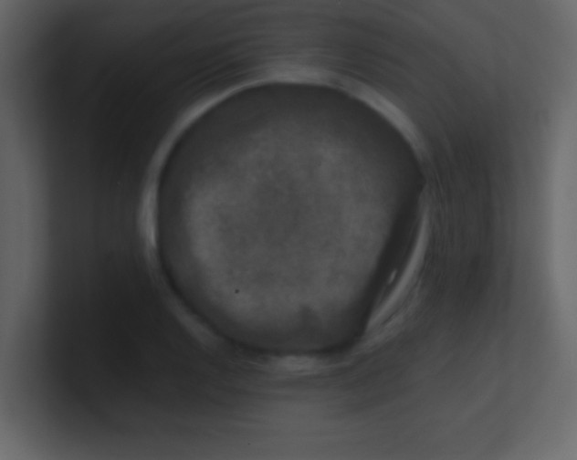 X0000100841128200807070927