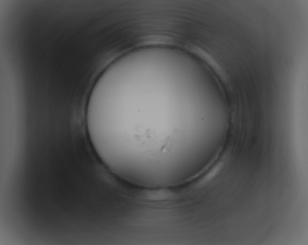 X0000100841129200807070927