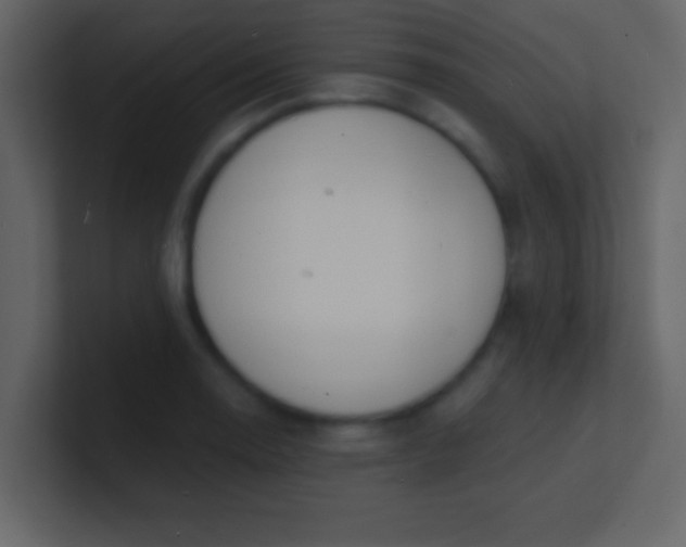 X0000100841130200807070927