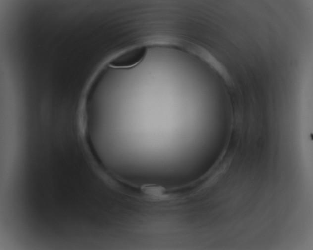 X0000100841132200807070927