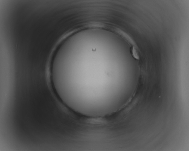 X0000100841133200807070927