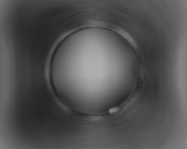 X0000100841136200807070927