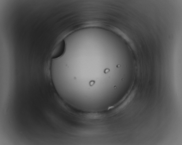 X0000100841137200807070927