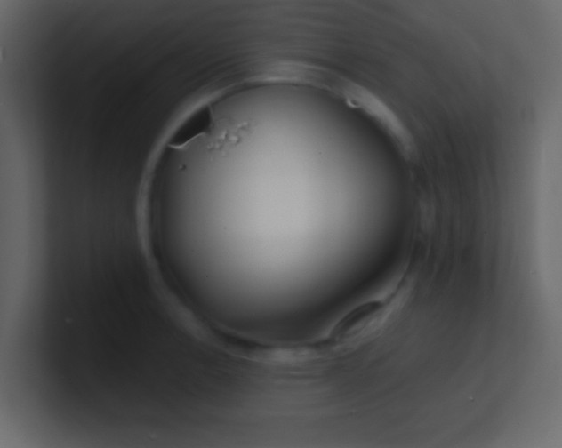 X0000100841138200807070927