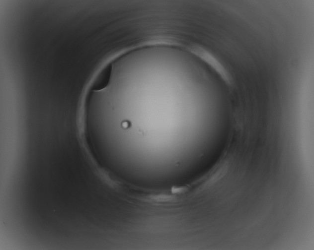 X0000100841140200807070927