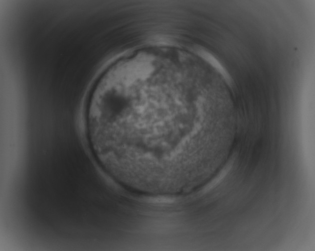 X0000100841141200807070928