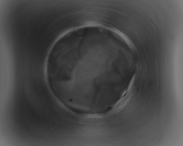 X0000100841142200807070928