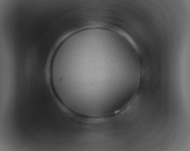 X0000100841143200807070928