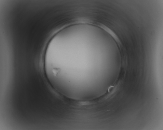 X0000100841144200807070928