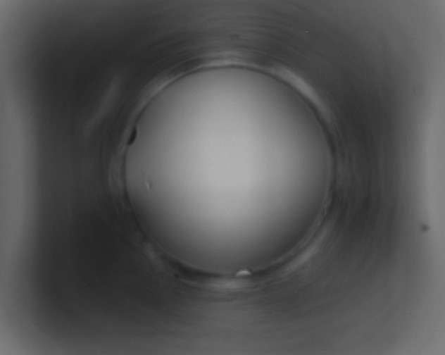 X0000100841145200807070928