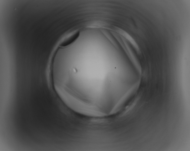 X0000100841146200807070928