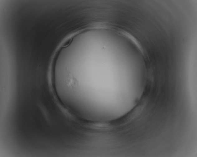 X0000100841147200807070928