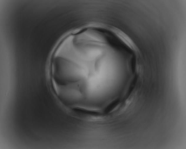 X0000100841148200807070928