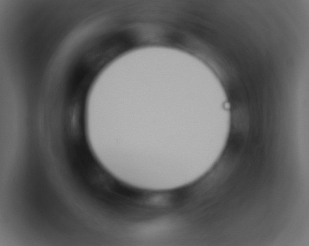 X0000100841150200807070928