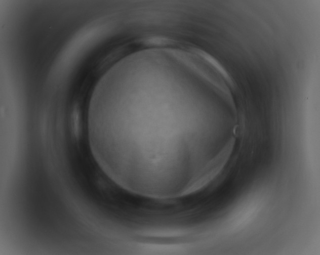 X0000100841151200807070928