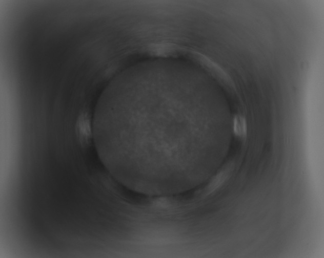 X0000100841155200807070927