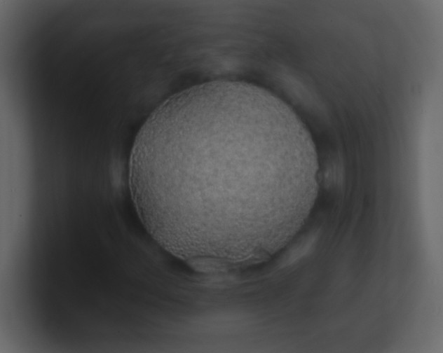 X0000100841156200807070927