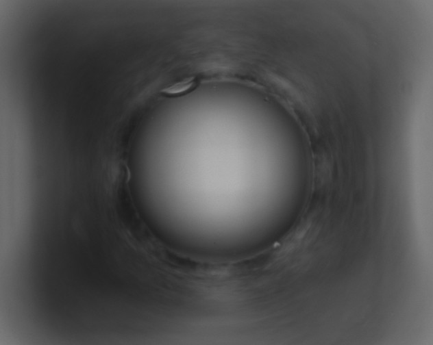 X0000100841157200807070927