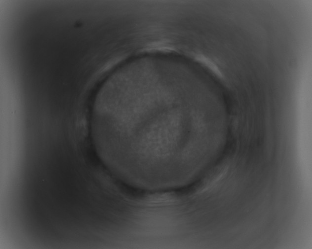 X0000100841159200807070927