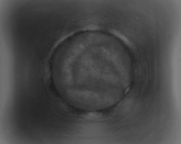 X0000100841160200807070927