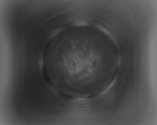 X0000100841161200807070927