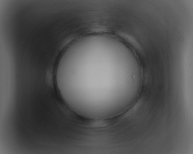 X0000100841162200807070927