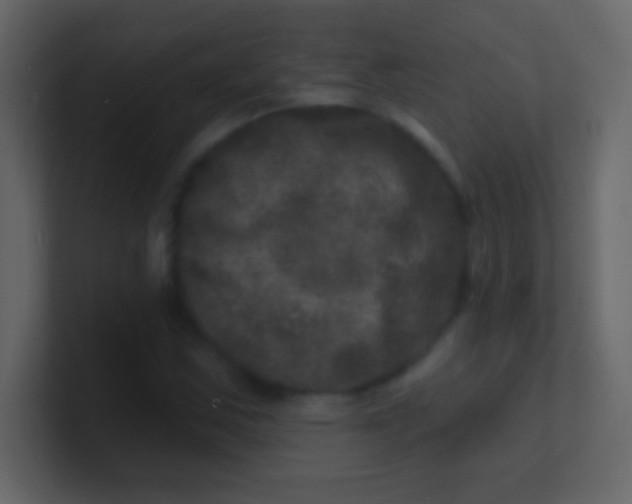 X0000100841163200807070927