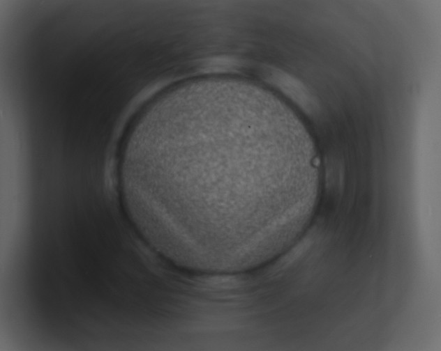 X0000100841164200807070927