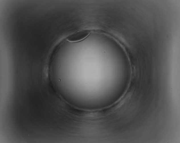 X0000100841165200807070927