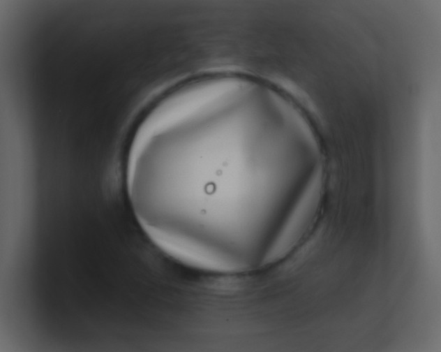 X0000100841167200807070927