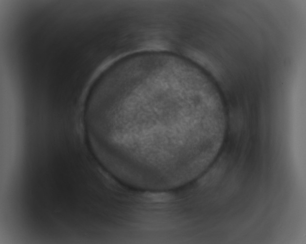 X0000100841168200807070927