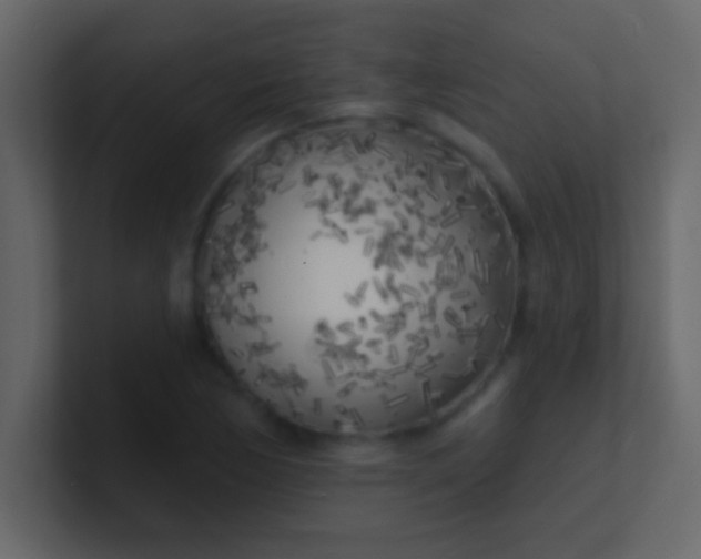 X0000100841170200807070927