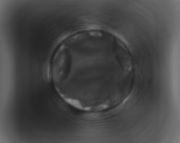 X0000100841171200807070927