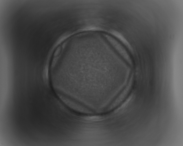 X0000100841173200807070927